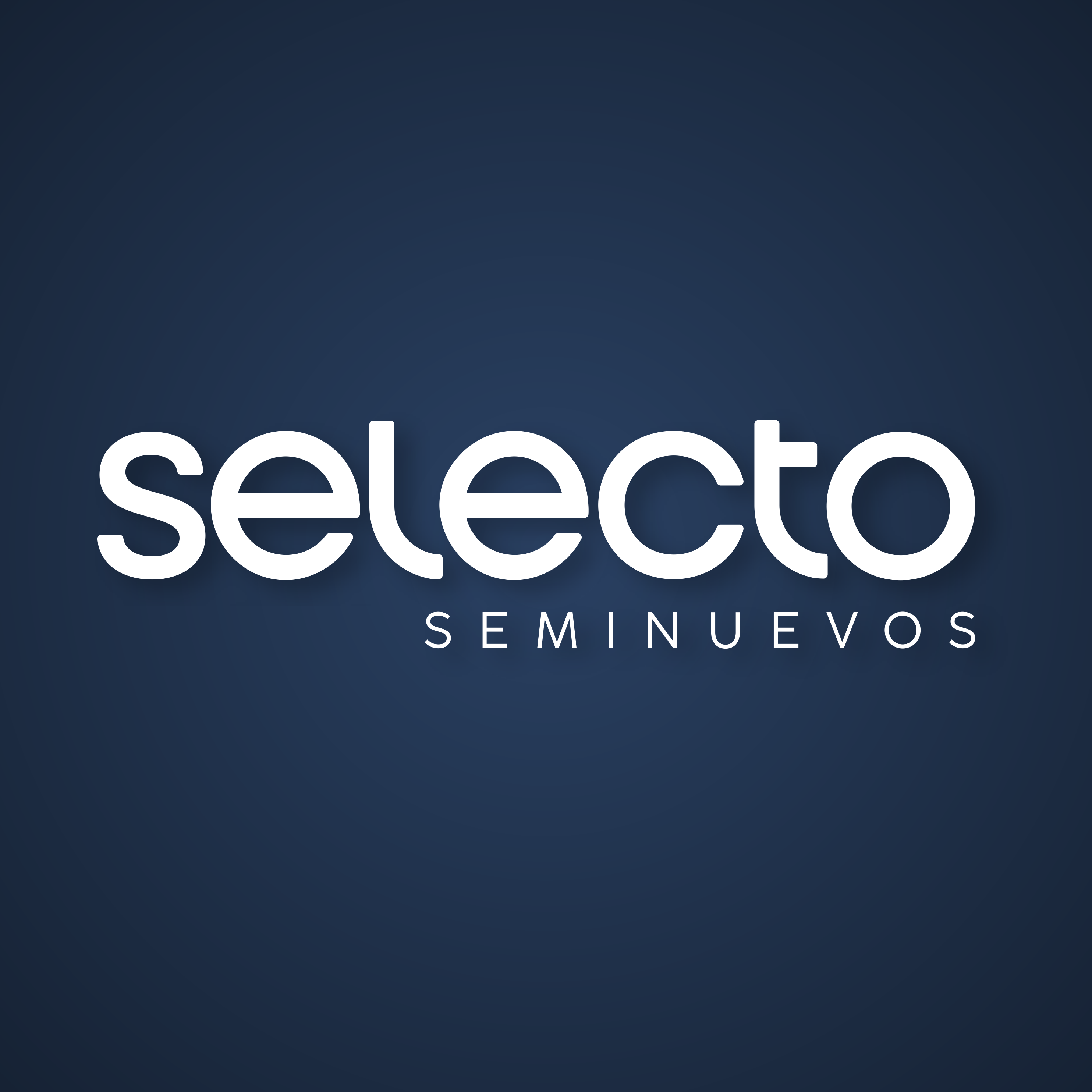 Selecto Seminuevos